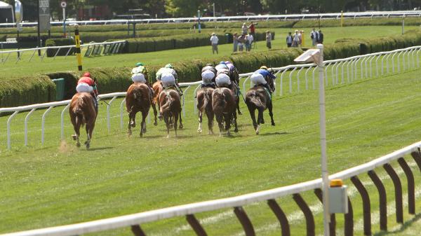 Dan’s Double Saranac Stakes Play, Intriguing Debut Runner America's